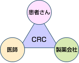治験コーディネーター（CRC）