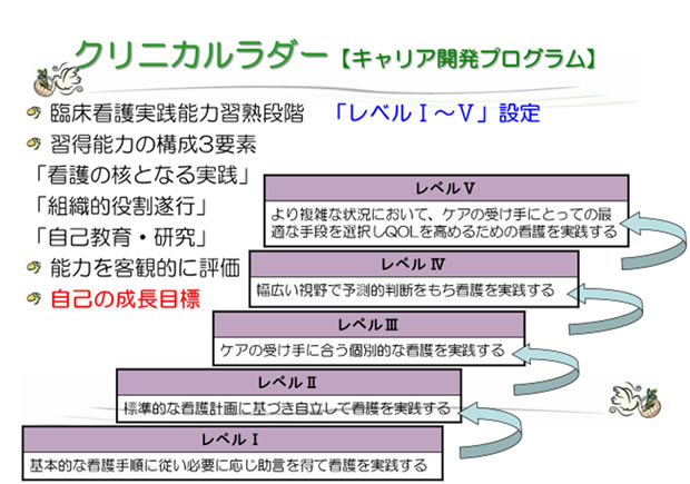クリニカルラダー